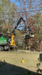 Business queued-photos - South Charlotte Tree Service