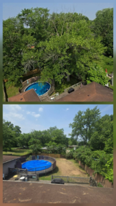 Business queued-photos - Canter Tree & Stump Solutions