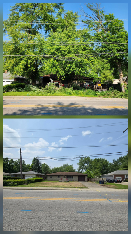 Business queued-photos - Canter Tree & Stump Solutions