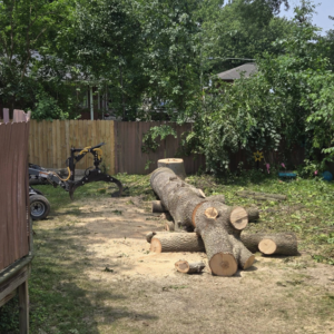 Business queued-photos - Canter Tree & Stump Solutions