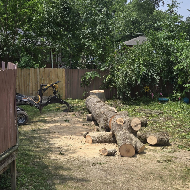 Business queued-photos - Canter Tree & Stump Solutions