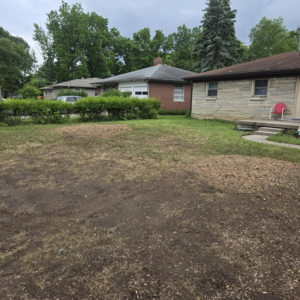 Business queued-photos - Canter Tree & Stump Solutions