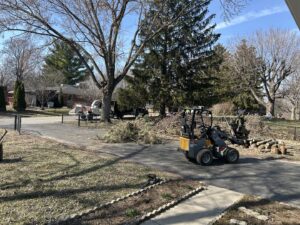 Business queued-photos - Canter Tree & Stump Solutions