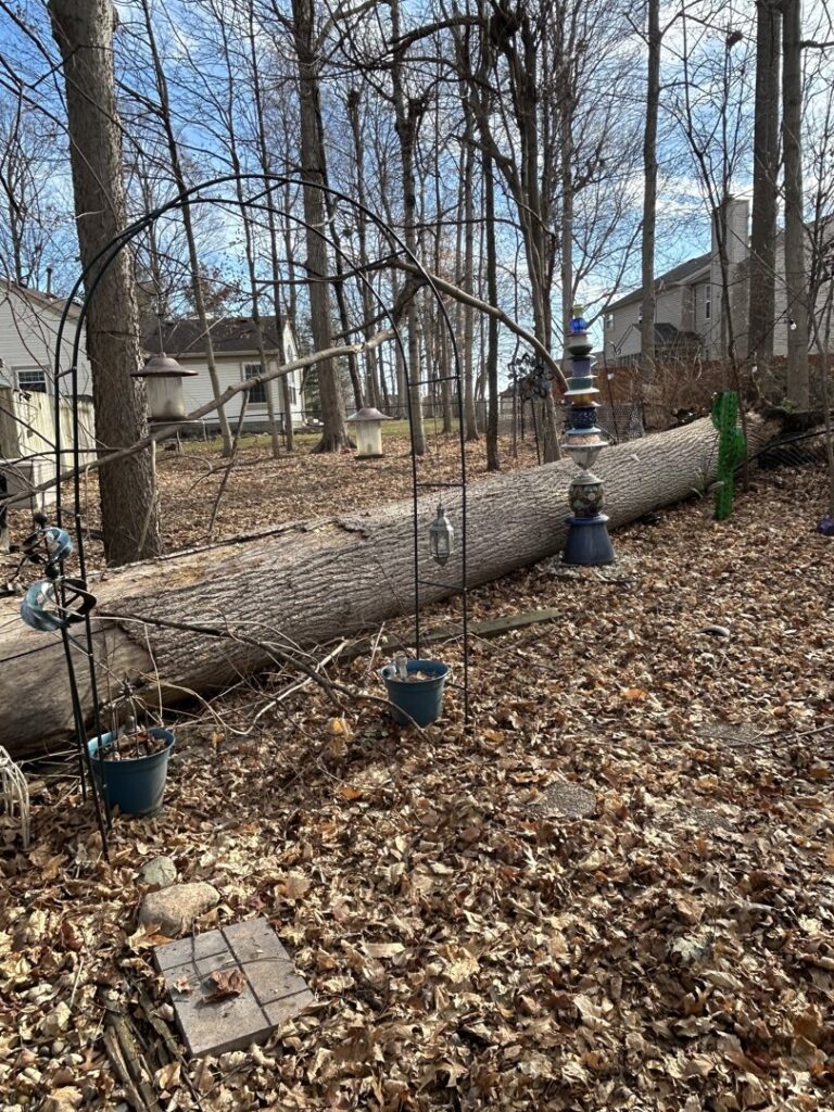 Business queued-photos - Canter Tree & Stump Solutions