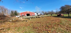 Business queued-photos - Canter Tree & Stump Solutions