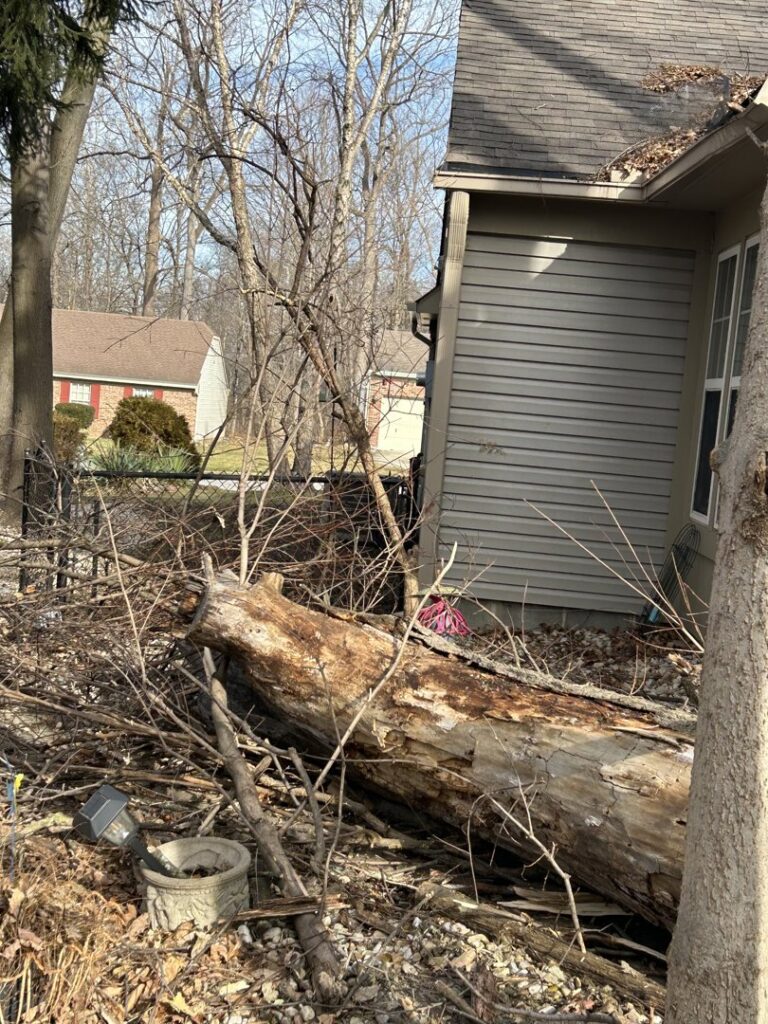 Business queued-photos - Canter Tree & Stump Solutions