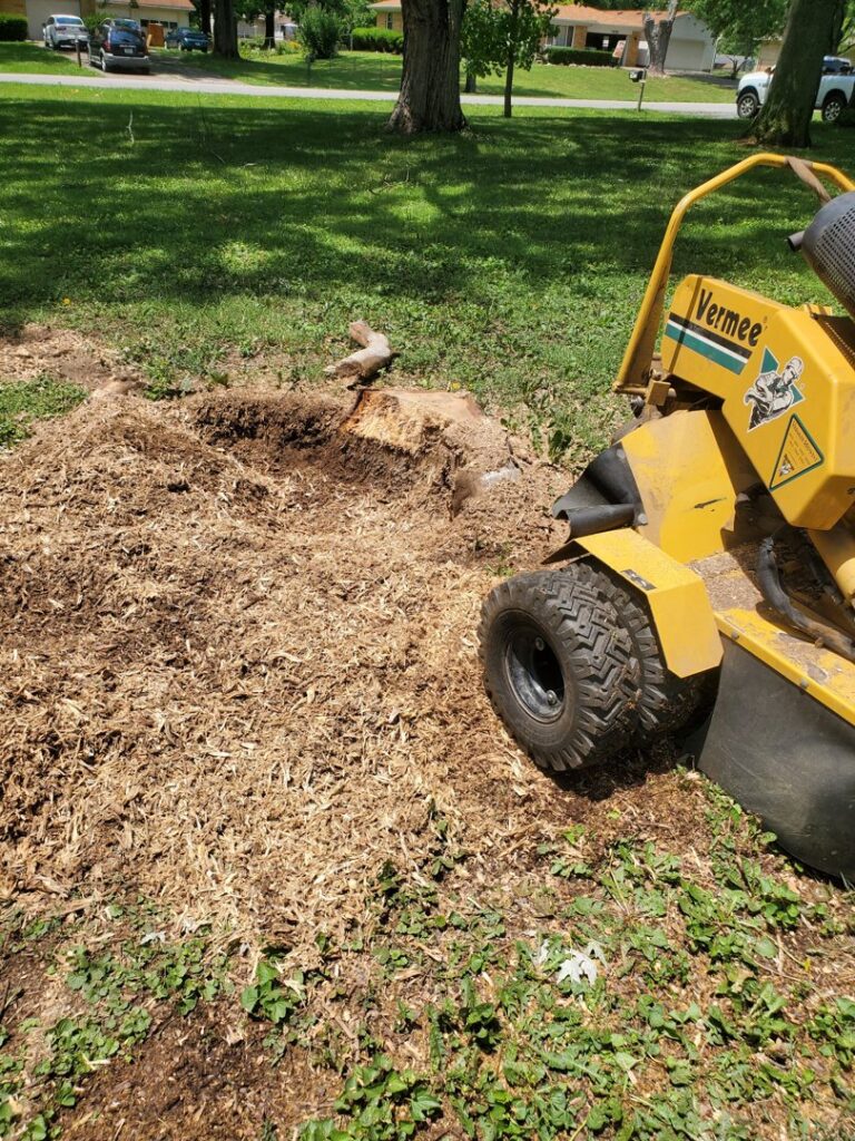 Business queued-photos - Canter Tree & Stump Solutions