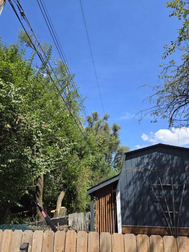 Business queued-photos - Canter Tree & Stump Solutions