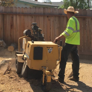 Business queued-photos - Salcedo Tree Service Inc