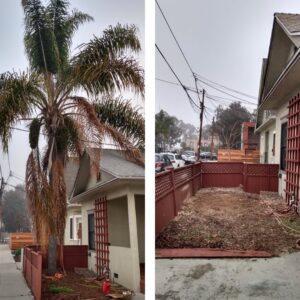 Business queued-photos - Salcedo Tree Service Inc