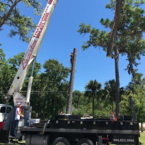 Business queued-photos - Eagerton Tree Service, LLC