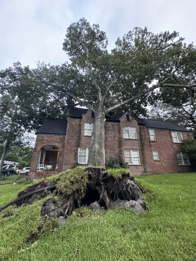 Business queued-photos - Eagerton Tree Service, LLC