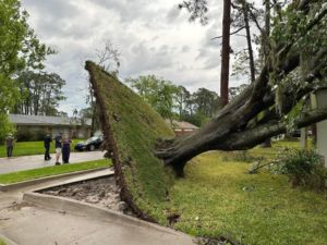 Business queued-photos - Eagerton Tree Service, LLC