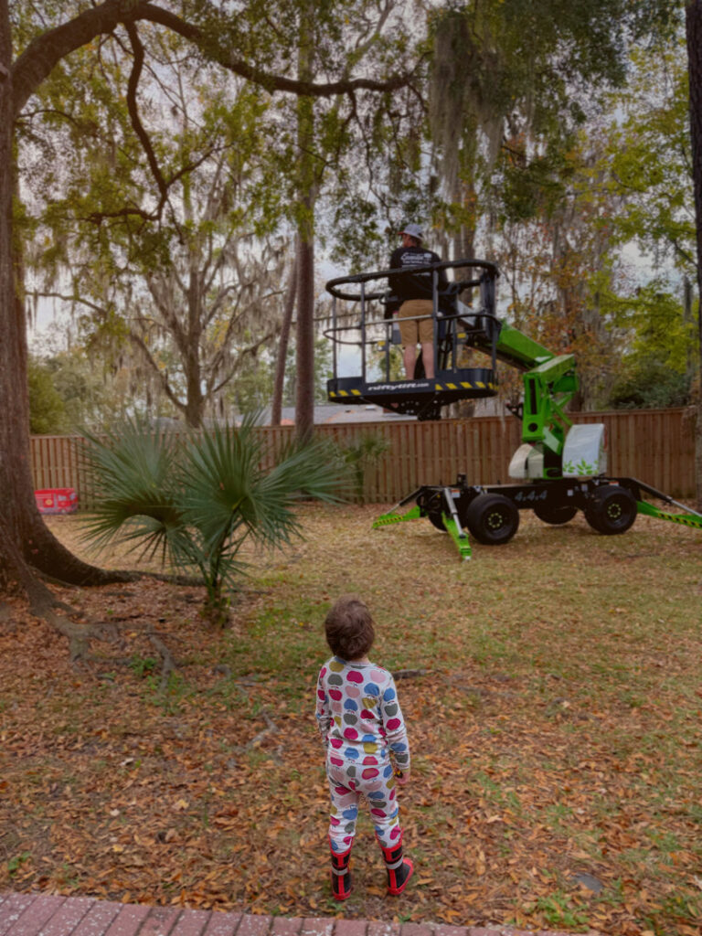 Business queued-photos - Eagerton Tree Service, LLC