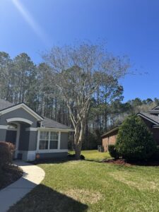 Business queued-photos - Eagerton Tree Service, LLC