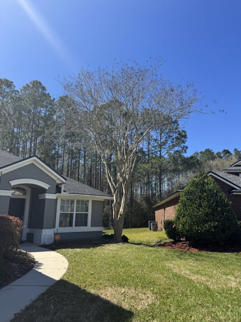 Business queued-photos - Eagerton Tree Service, LLC