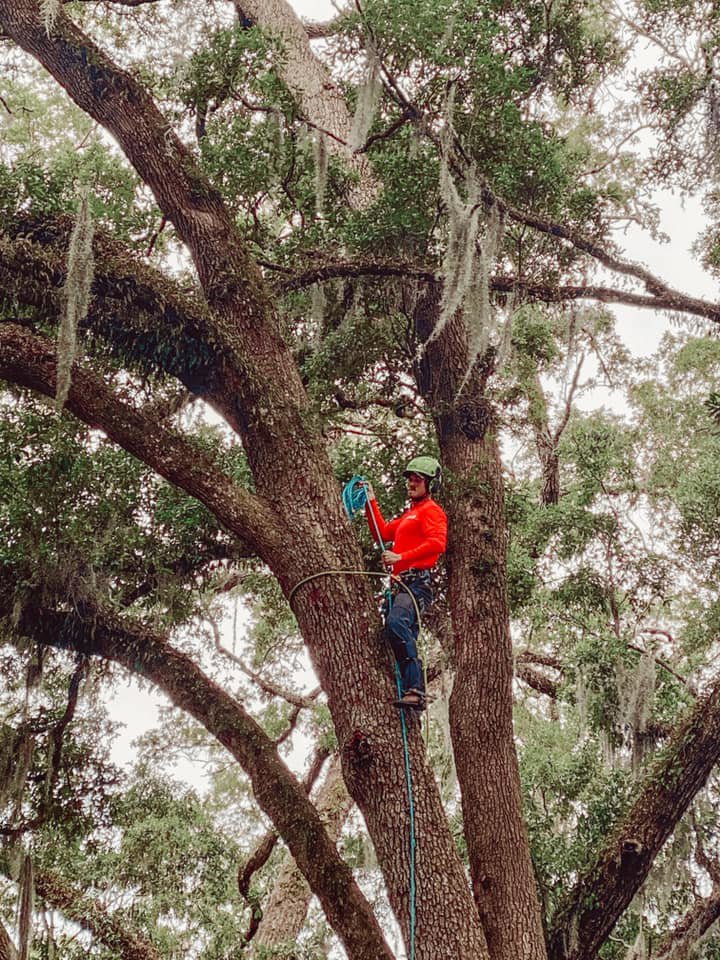 Business queued-photos - Eagerton Tree Service, LLC