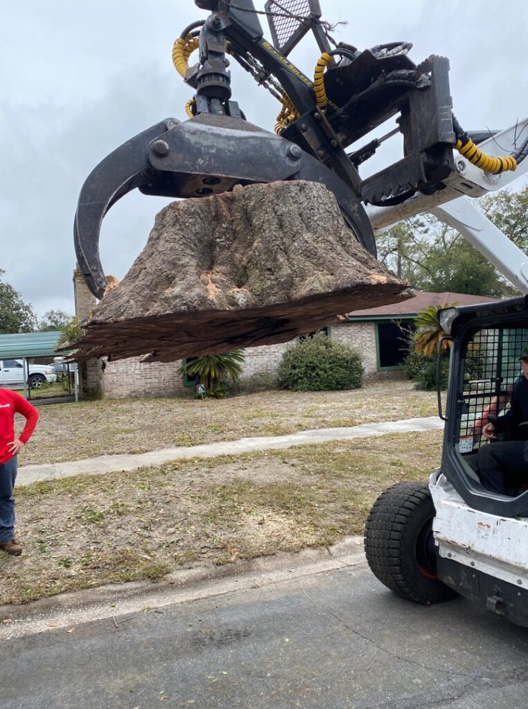 Business queued-photos - Eagerton Tree Service, LLC