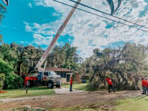 Business queued-photos - Eagerton Tree Service, LLC