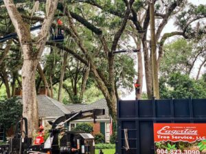 Business queued-photos - Eagerton Tree Service, LLC