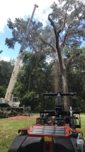 Business queued-photos - Eagerton Tree Service, LLC