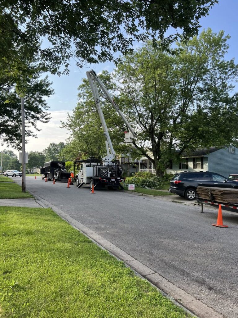 Business queued-photos - Shorty’s Tree Service