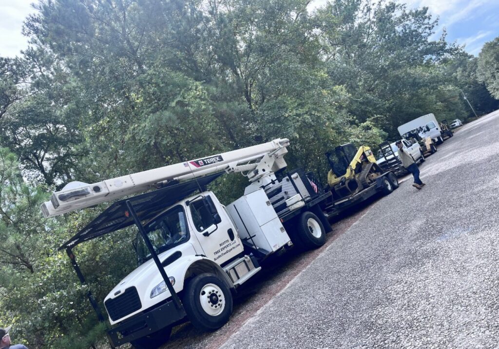 Business queued-photos - Shorty’s Tree Service