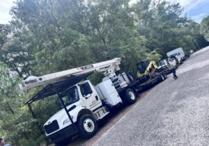 Business queued-photos - Shorty’s Tree Service