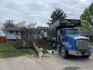 Business queued-photos - Shorty’s Tree Service