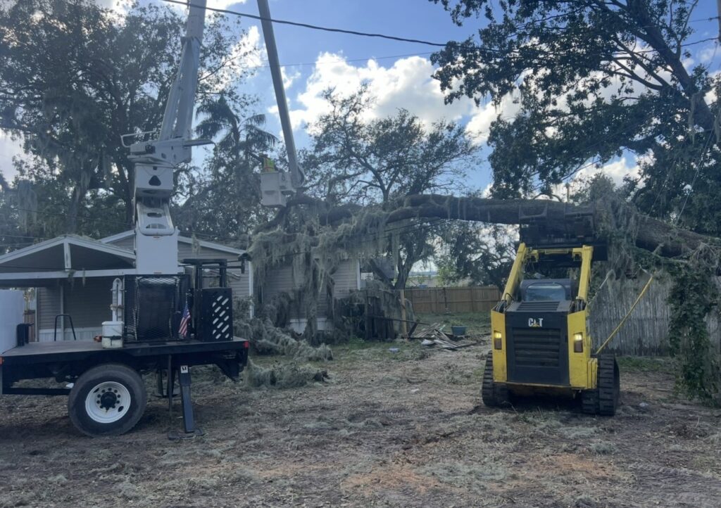 Business queued-photos - Shorty’s Tree Service