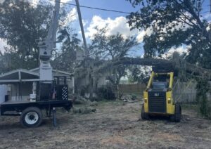 Business queued-photos - Shorty’s Tree Service