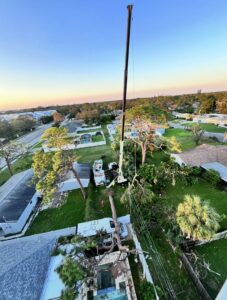 Business queued-photos - Shorty’s Tree Service