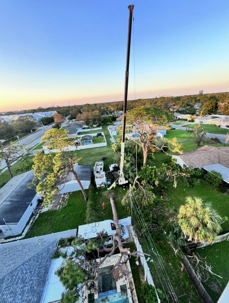 Business queued-photos - Shorty’s Tree Service