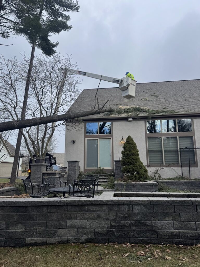 Business queued-photos - Shorty’s Tree Service