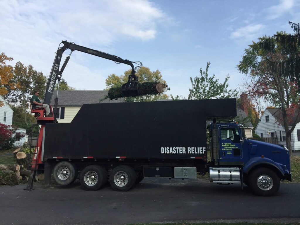 Business queued-photos - Shorty’s Tree Service