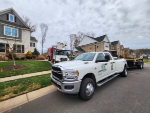 Business queued-photos - PDM Tree Service