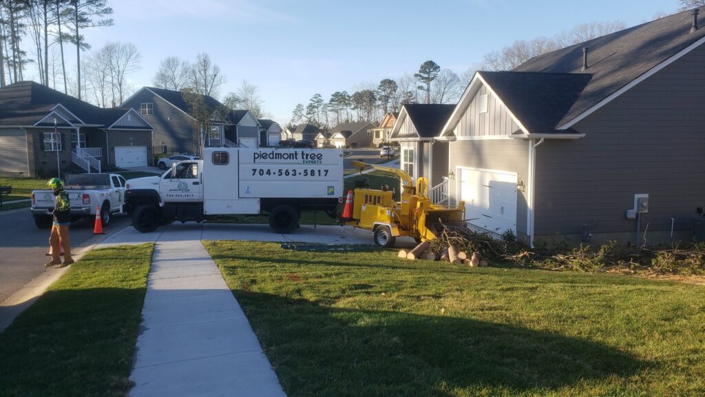 Business queued-photos - PDM Tree Service