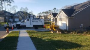 Business queued-photos - PDM Tree Service