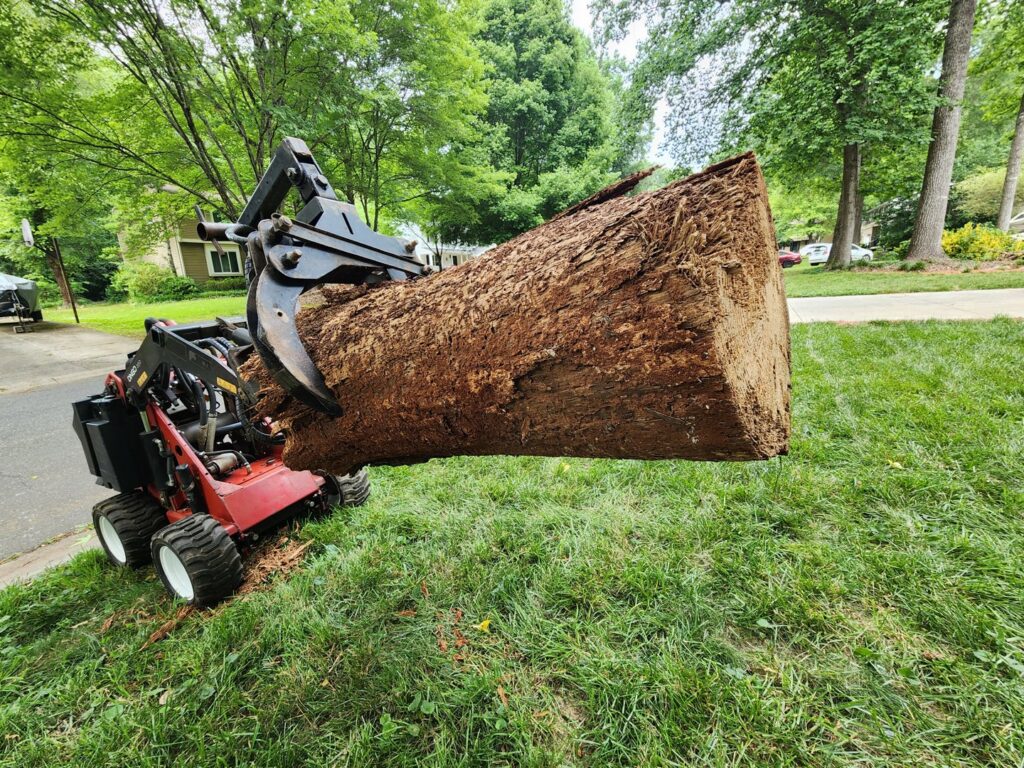 Business queued-photos - PDM Tree Service