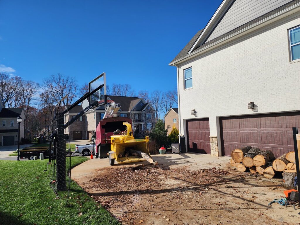 Business queued-photos - PDM Tree Service