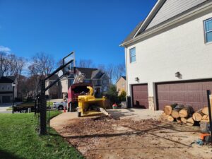 Business queued-photos - PDM Tree Service