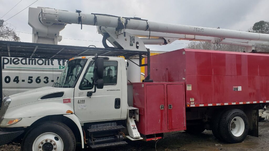 Business queued-photos - PDM Tree Service