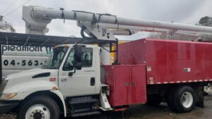 Business queued-photos - PDM Tree Service