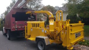 Business queued-photos - PDM Tree Service