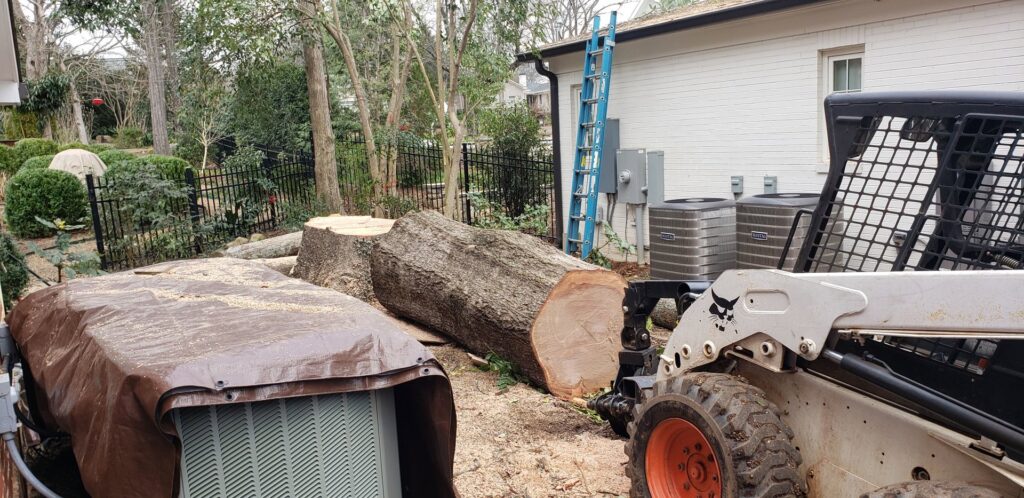 Business queued-photos - PDM Tree Service