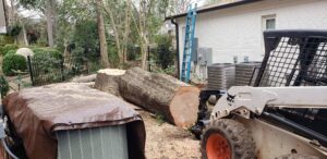 Business queued-photos - PDM Tree Service