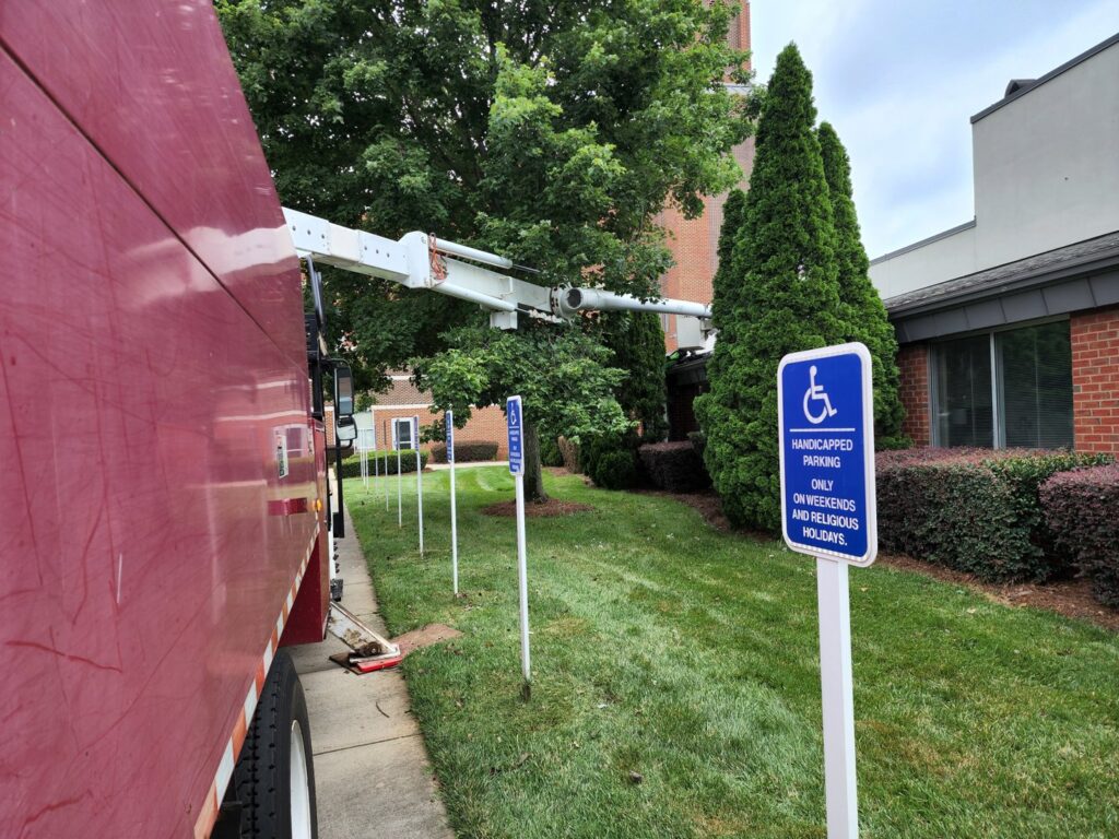 Business queued-photos - PDM Tree Service