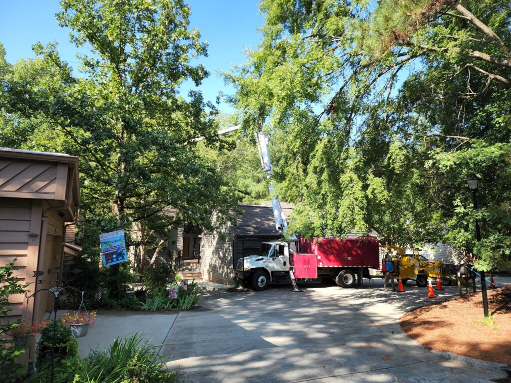 Business queued-photos - PDM Tree Service