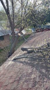 Business queued-photos - Ramirez Tree Service