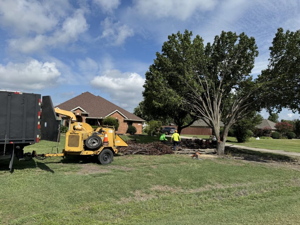 Business queued-photos - Ramirez Tree Service